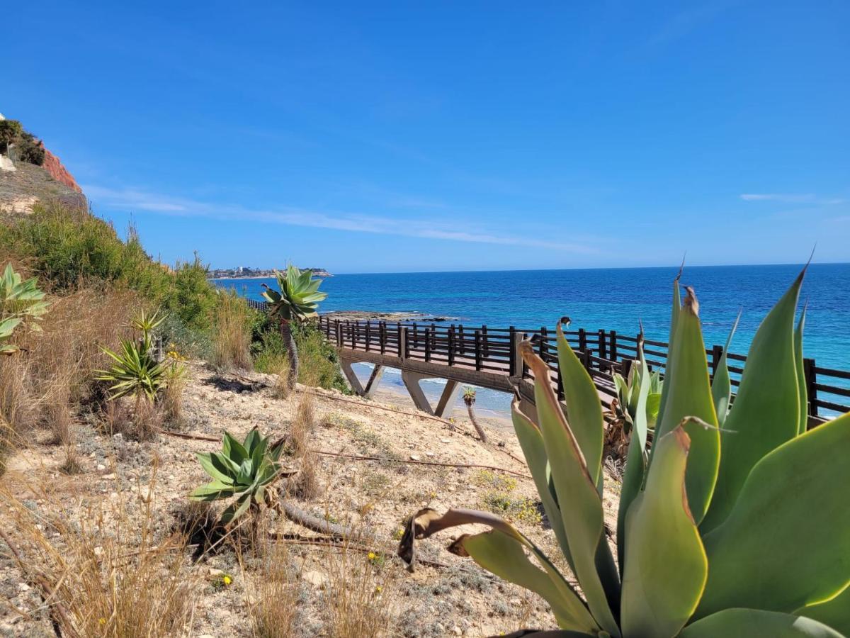טורבייחה 49 Laguna Beach מראה חיצוני תמונה